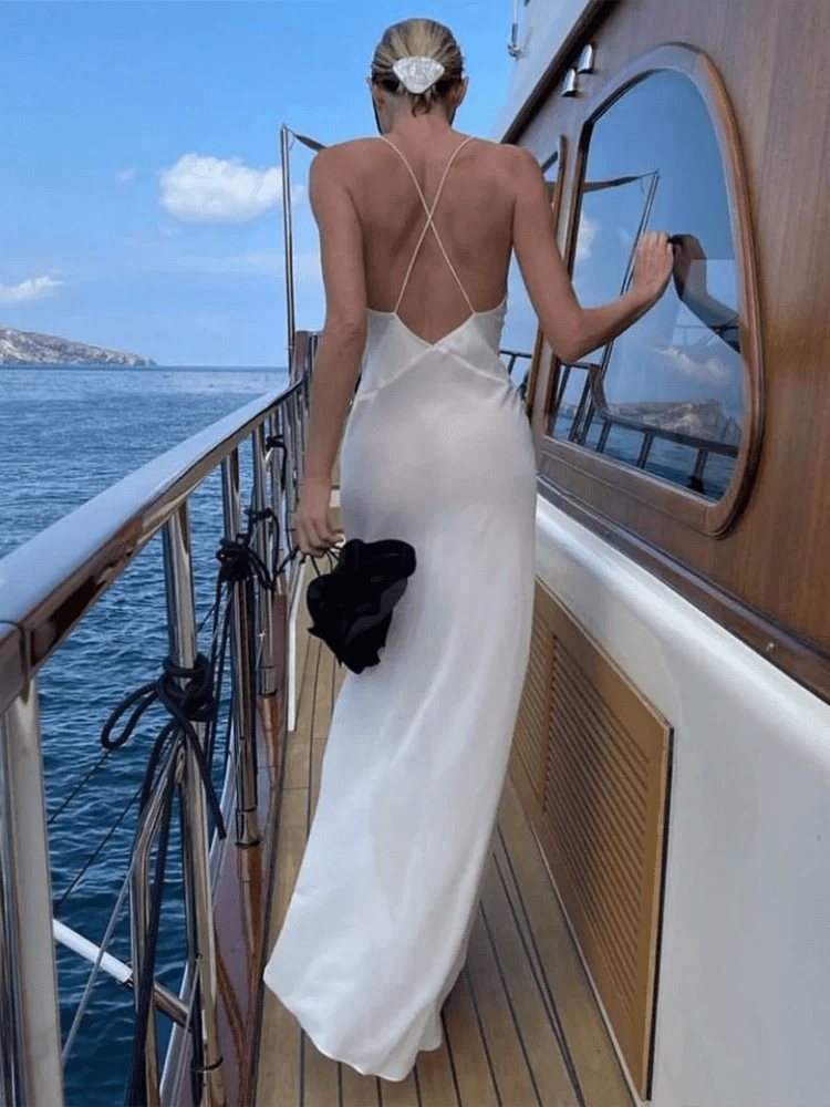 Sienna Deep V Sheer Slip Maxi Dress
